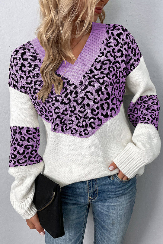 Kaley - Stilvoller Pullover mit Leoparden-Print